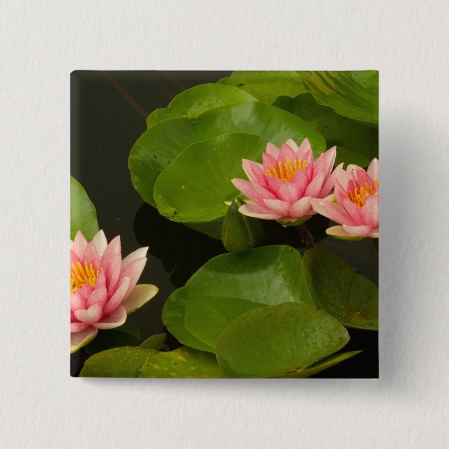 Bóton Quadrado 5.08cm Estados Unidos, DC, Washington, Kenilworth 4 (Frente)