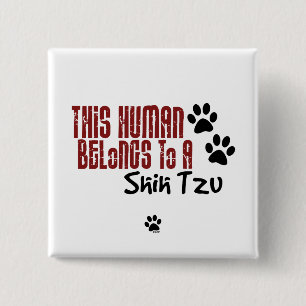 Bóton Quadrado 5.08cm Este ser humano pertence a um Shih Tzu