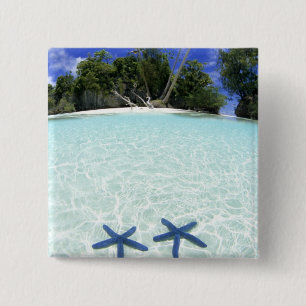 Bóton Quadrado 5.08cm Estrelas do mar, Ilhas de Rocha, Palau