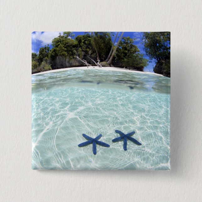 Bóton Quadrado 5.08cm Estrelas-do-mar, Ilhas de Rocha, Palau 2 (Frente)