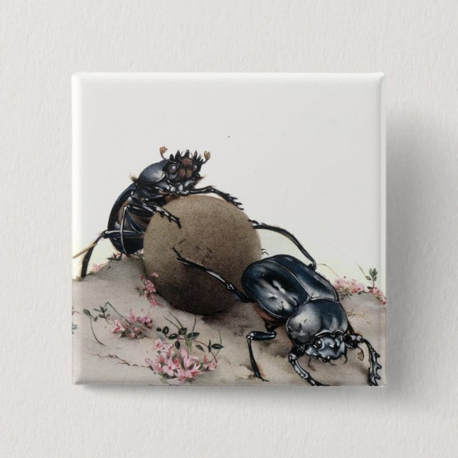 Bóton Quadrado 5.08cm Estrume Bettle (Frente)
