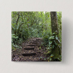 Bóton Quadrado 5.08cm Etapas que ascensão no trajeto. Floresta tropical