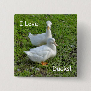 Bóton Quadrado 5.08cm Eu amo patos! pino quadrado