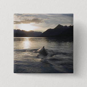 Bóton Quadrado 5.08cm EUA, Alasca, Parque Nacional Glacier Bay,