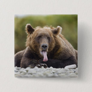 Bóton Quadrado 5.08cm EUA, Alasca, Parque Nacional Katmai, Baía Kukak,