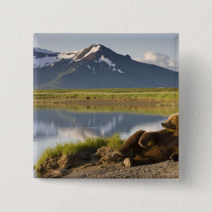 Bóton Quadrado 5.08cm EUA, Alasca, Parque Nacional Katmai, Ursos Pardo