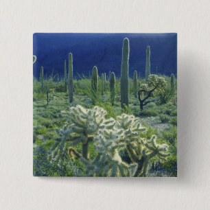 Bóton Quadrado 5.08cm EUA, Arizona, Parque Nacional do Cacto Organ Pipe