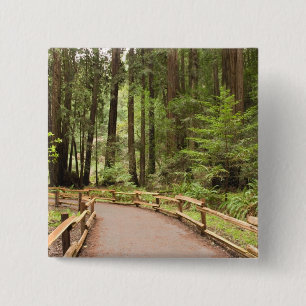 Bóton Quadrado 5.08cm EUA, Califórnia, Condado de Marin, Muir Woods