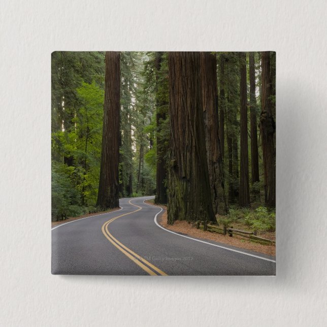 Bóton Quadrado 5.08cm EUA, Califórnia, estrada através da floresta da (Frente)