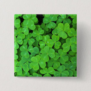 Bóton Quadrado 5.08cm EUA, Califórnia, Jedediah Smith Rewood SP.