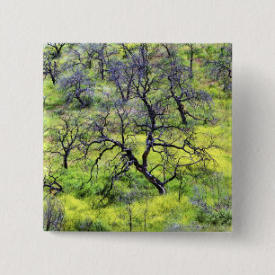 Bóton Quadrado 5.08cm EUA, Califórnia, San Diego. Uma floresta de carva