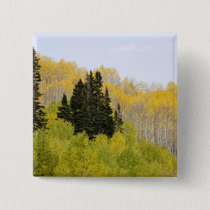 Bóton Quadrado 5.08cm EUA, Colorado, Floresta Nacional de Gunnison, ao l