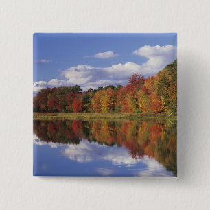 Bóton Quadrado 5.08cm EUA, Massachusetts, Acton. Reflexo do outono