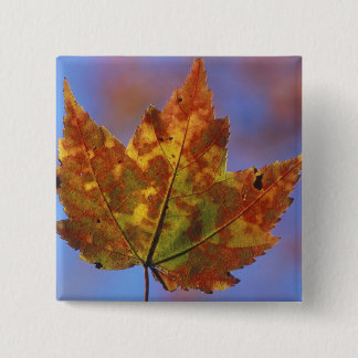 Bóton Quadrado 5.08cm EUA, New Hampshire, White Mountains, França