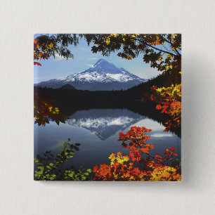 Bóton Quadrado 5.08cm EUA, Oregon, Floresta Nacional de Mt. Hood.
