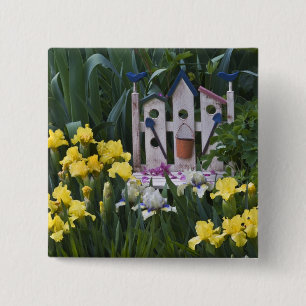 Bóton Quadrado 5.08cm EUA, Pensilvânia. Os íris de jardim crescem