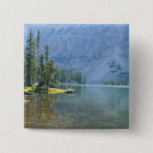 Bóton Quadrado 5.08cm EUA, Utah, Ashley National Forest, High Uintas (Frente)