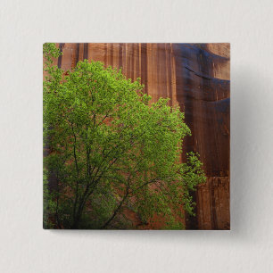 Bóton Quadrado 5.08cm EUA, Utah, Paria Canyon- Vermillion Cliffs
