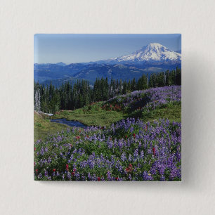 Bóton Quadrado 5.08cm EUA, Washington Mt. Adams Wilderness, Prados