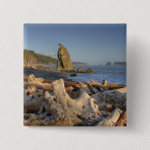 Bóton Quadrado 5.08cm EUA, Washington, Parque Nacional Olímpico, Rialto