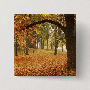 Bóton Quadrado 5.08cm EUA, Washington, Spokane, Manito Park, Outono 2