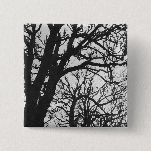 Bóton Quadrado 5.08cm Europa, França, Paris. Árvores de inverno, Marco (Frente)