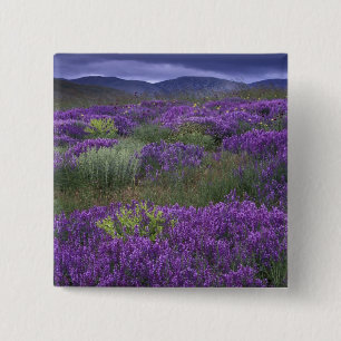 Bóton Quadrado 5.08cm Europa, Turquia, Cappadocia. Paisagem rural 2