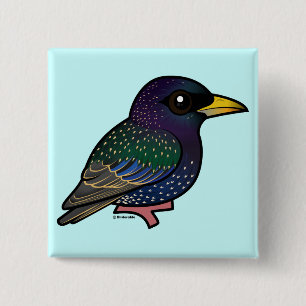 Bóton Quadrado 5.08cm Europeu Starling de Birdorable
