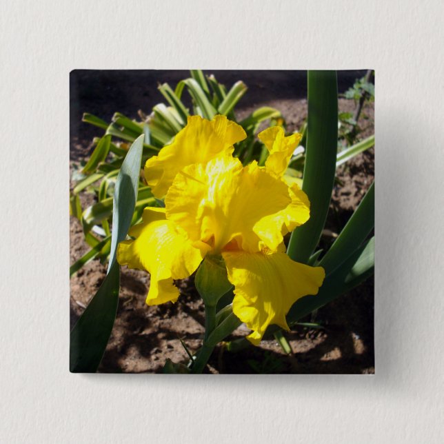 Bóton Quadrado 5.08cm Fábrica Iris de Bloqueio Amarelo, (Frente)