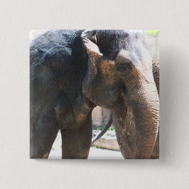 Bóton Quadrado 5.08cm Face elefante