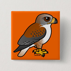 Bóton Quadrado 5.08cm Falcão Ferruginous