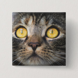 Bóton Quadrado 5.08cm Fechamento de Gato com Olhos Amarelos