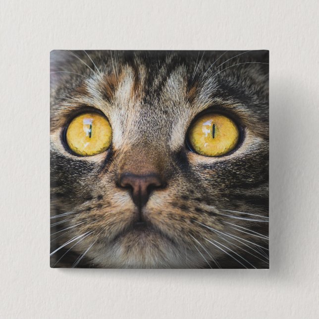 Bóton Quadrado 5.08cm Fechamento de Gato com Olhos Amarelos (Frente)