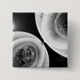 Bóton Quadrado 5.08cm Feche acima do olhar na divisão de pilha