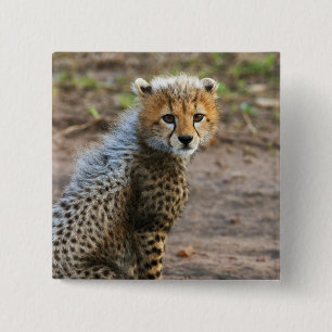 Bóton Quadrado 5.08cm Filhote de Guepardo Acinonyx Jubatus)