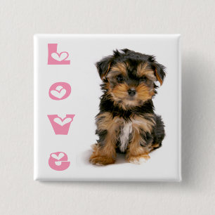 Bóton Quadrado 5.08cm Filhote de Yorkshire Terrier Cachorro Rosa Amor