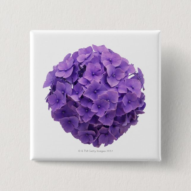 Bóton Quadrado 5.08cm Fim-acima da bola do Hydrangea (Frente)
