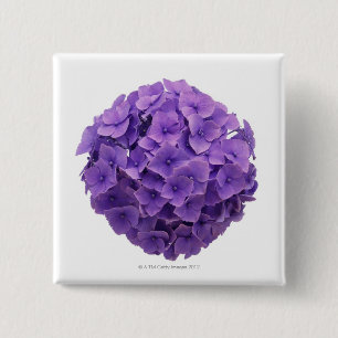 Bóton Quadrado 5.08cm Fim-acima da bola do Hydrangea
