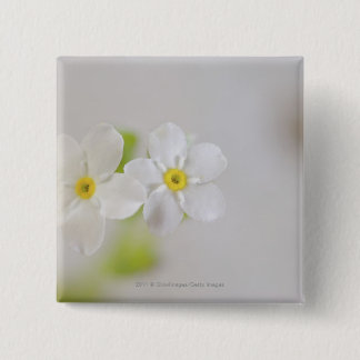 Bóton Quadrado 5.08cm Fim-acima das flores