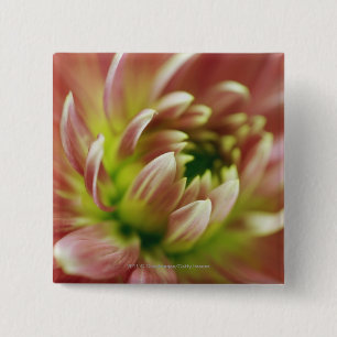 Bóton Quadrado 5.08cm Fim-acima de uma flor