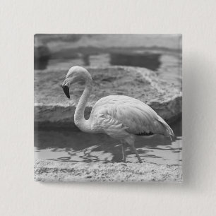Bóton Quadrado 5.08cm Flamingo que vadeia na água B&W