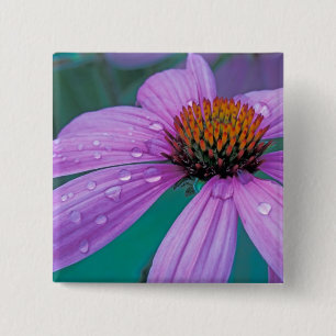 Bóton Quadrado 5.08cm flor de cone roxa com gotas de água