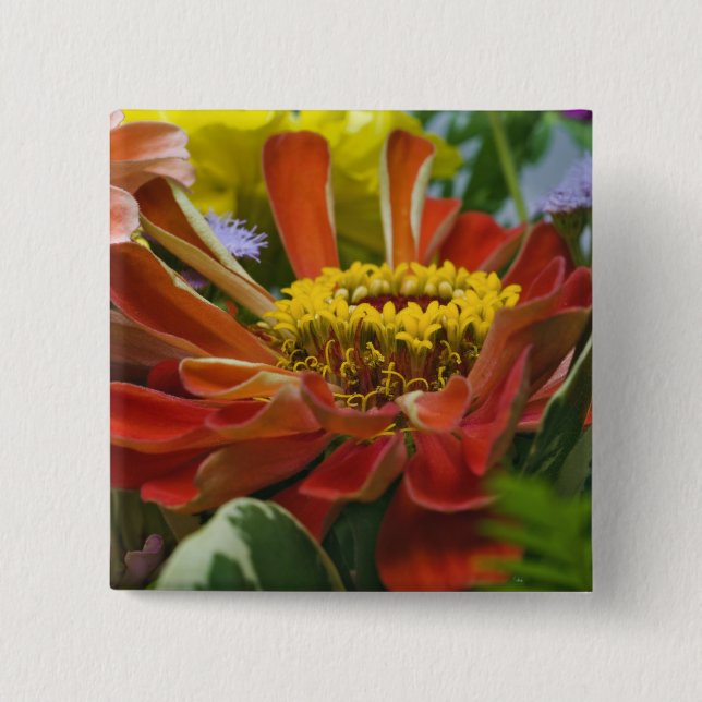 Bóton Quadrado 5.08cm flor de crisântemo (Frente)