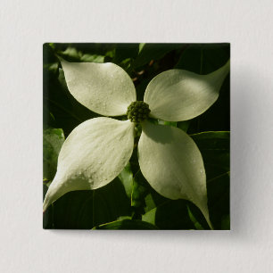 Bóton Quadrado 5.08cm Flor de Dogwood Iluminado