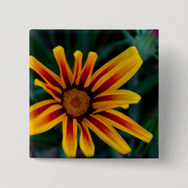 Bóton Quadrado 5.08cm Flor de Gazania (Frente)