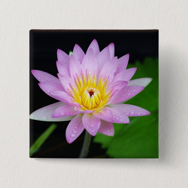 Bóton Quadrado 5.08cm Flor de Lotus (Frente)