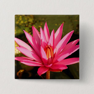 Bóton Quadrado 5.08cm Flor de Lotus na natureza