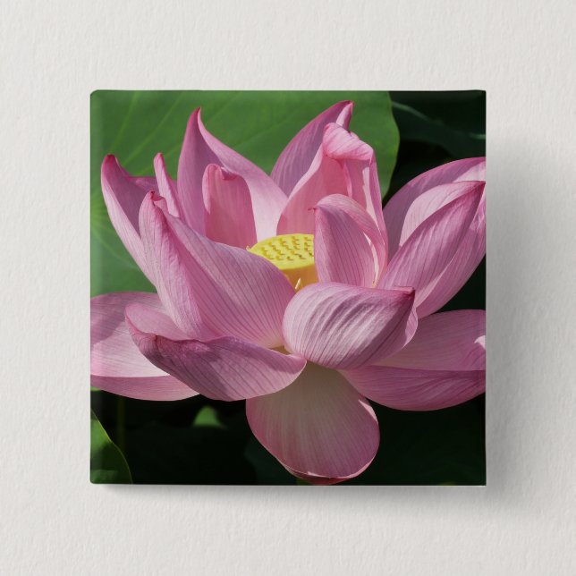 Bóton Quadrado 5.08cm Flor de Lotus Rosa IV (Frente)