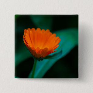 Bóton Quadrado 5.08cm Flor de margarida laranja