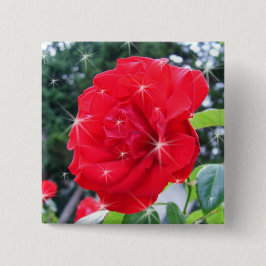 Bóton Quadrado 5.08cm Flor de rosa vermelha com estrelas